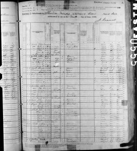 1880-census-Meyne-Annie